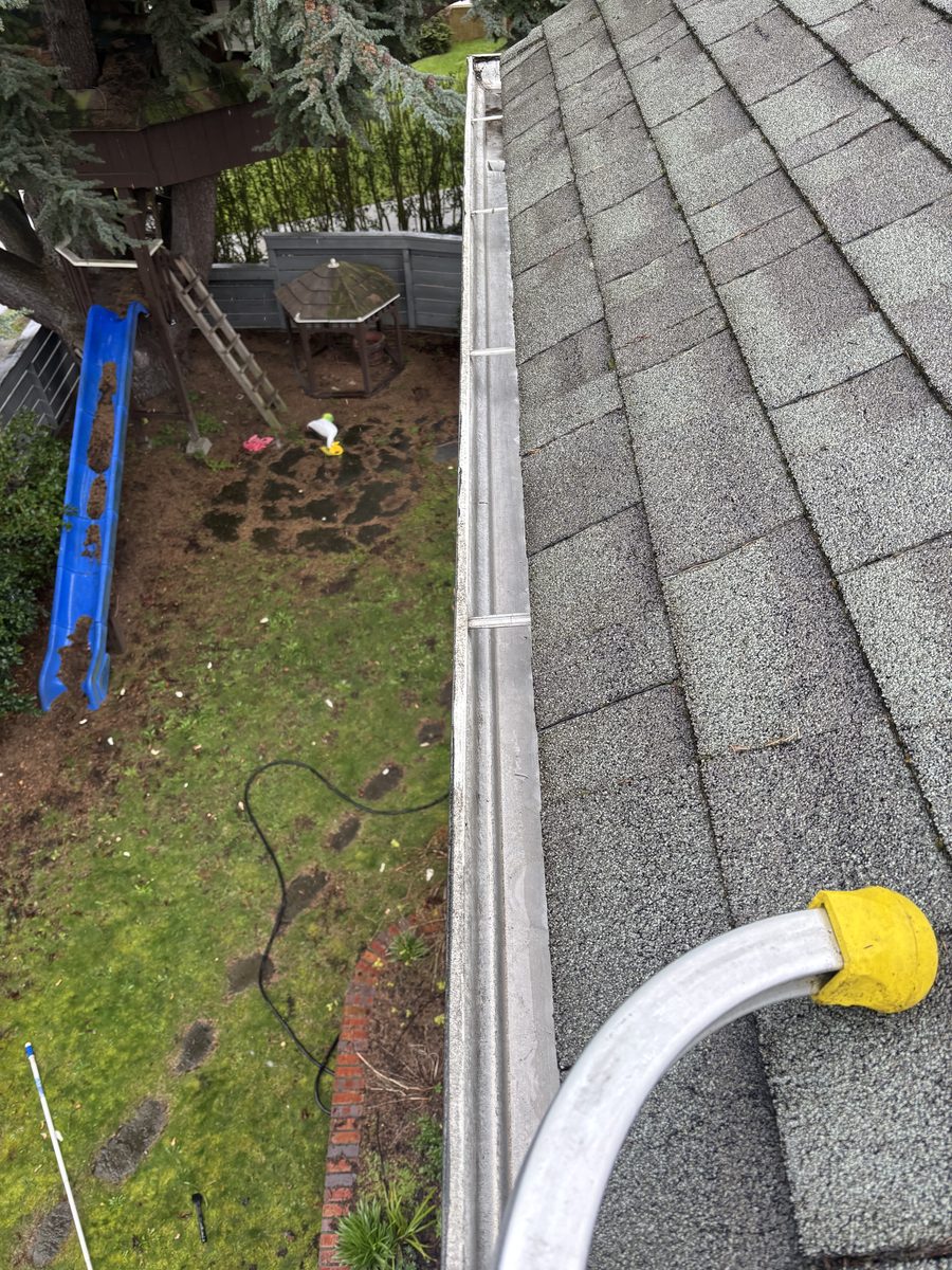 Clean gutter and downspout