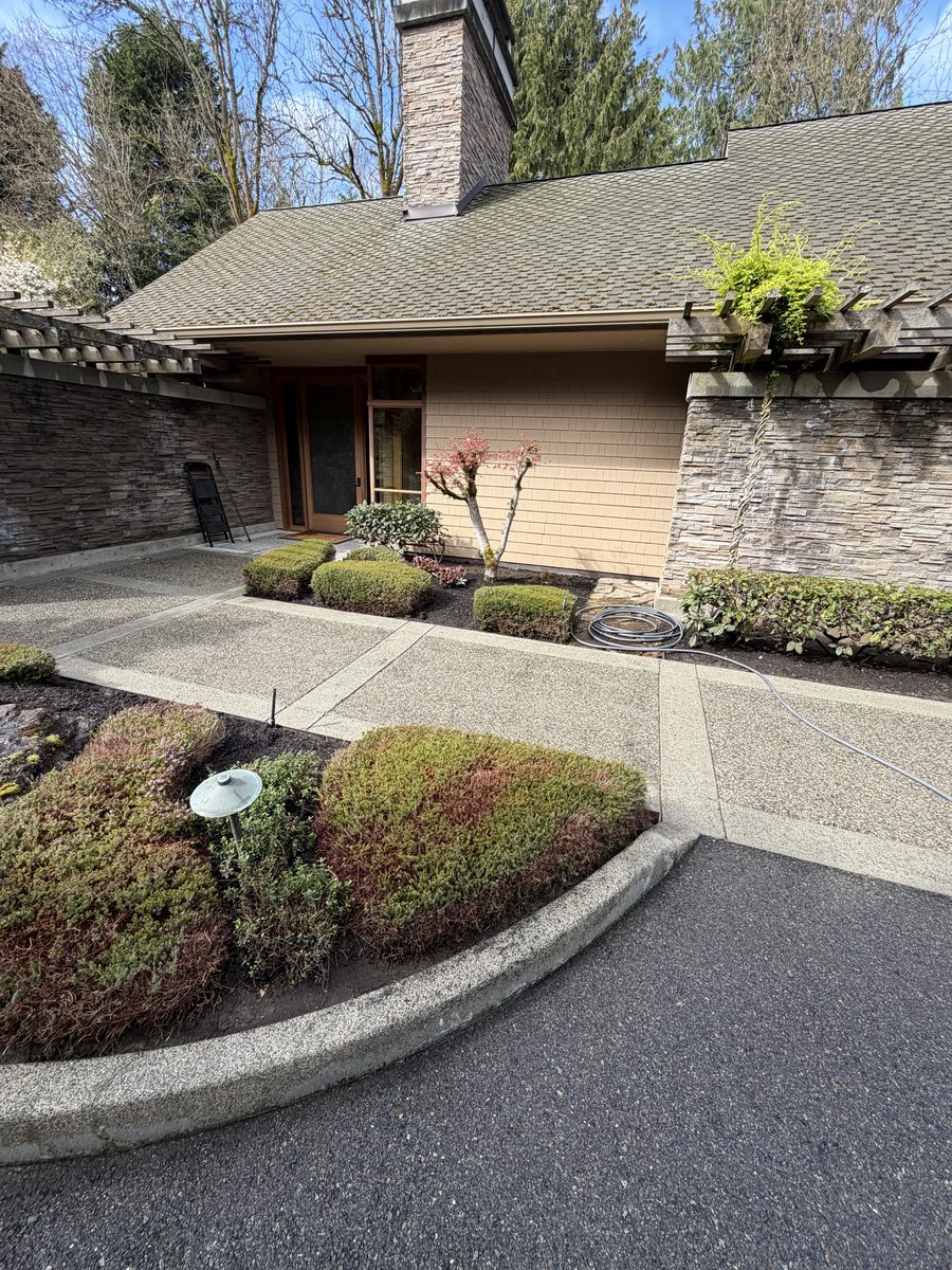 Pressure washed curb and walkway
