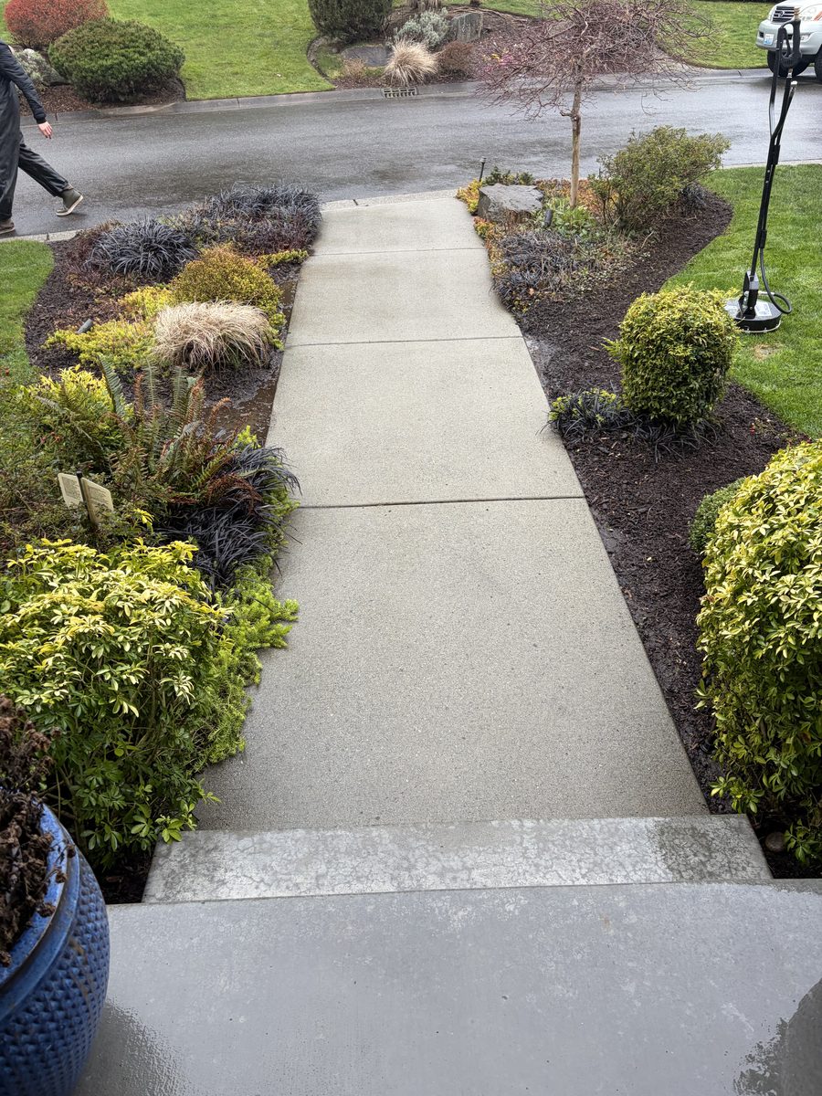 Pressure washed walkway