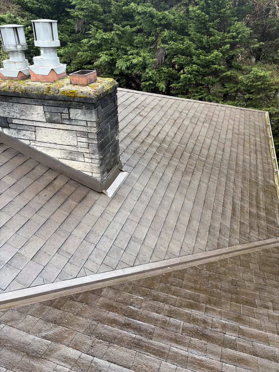 Moss removal from roof shingles