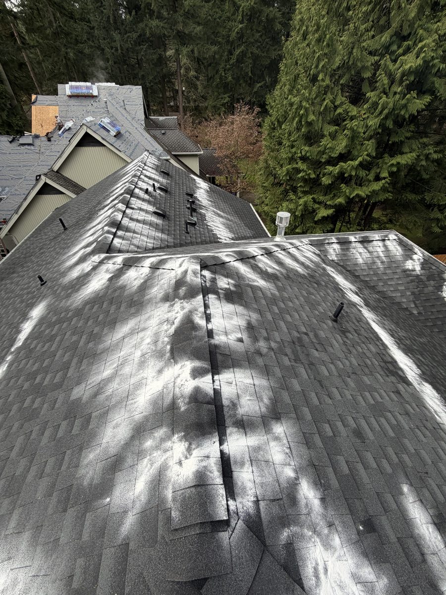 Roof overview showing cleaning results