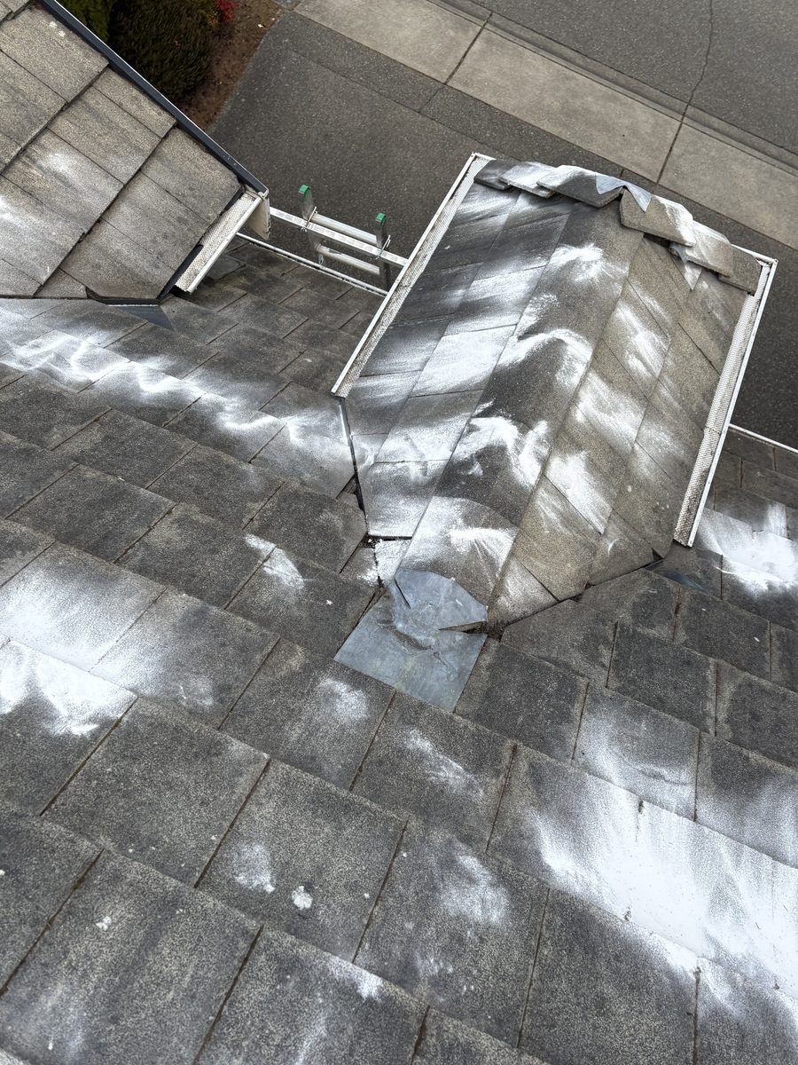 Roof cleaning treatment in progress