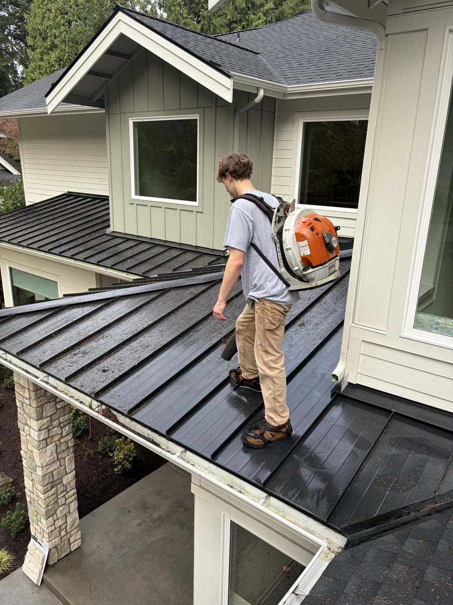 Dabo's NW team member